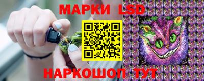 ешки Обнинск