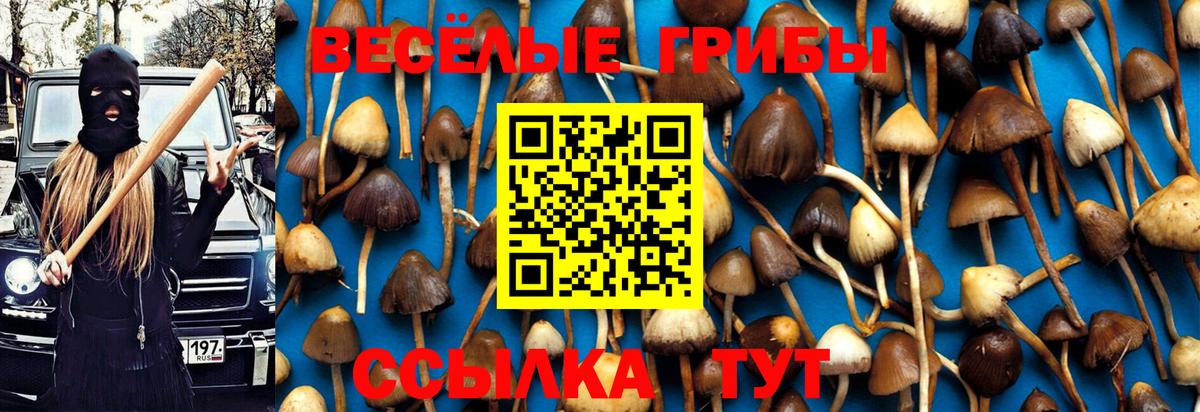Галлюциногенные грибы прущие грибы Омск